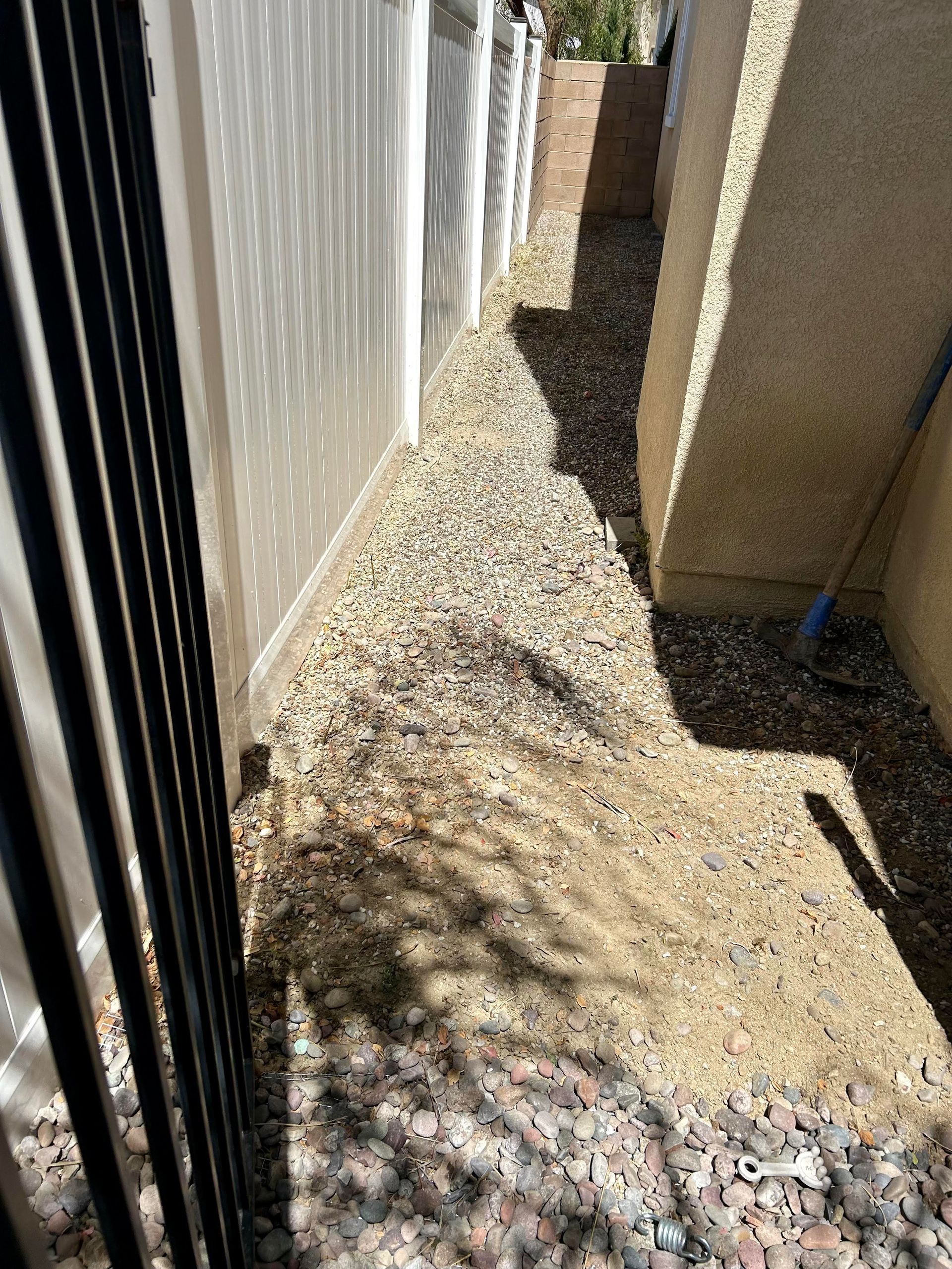 There is a fence in the background and a shadow of a tree on the ground.