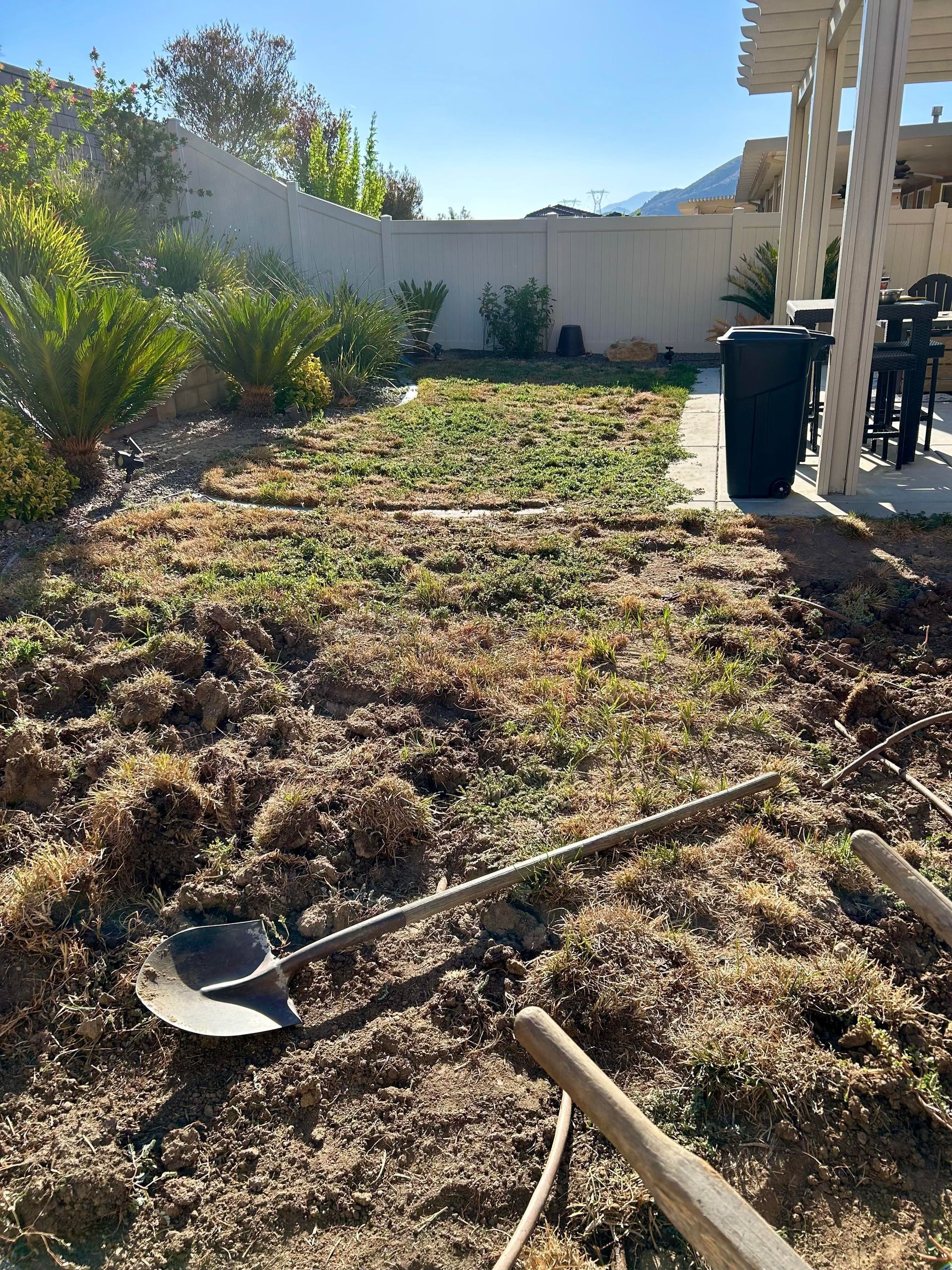 A shovel and a rake are in the dirt in a backyard.
