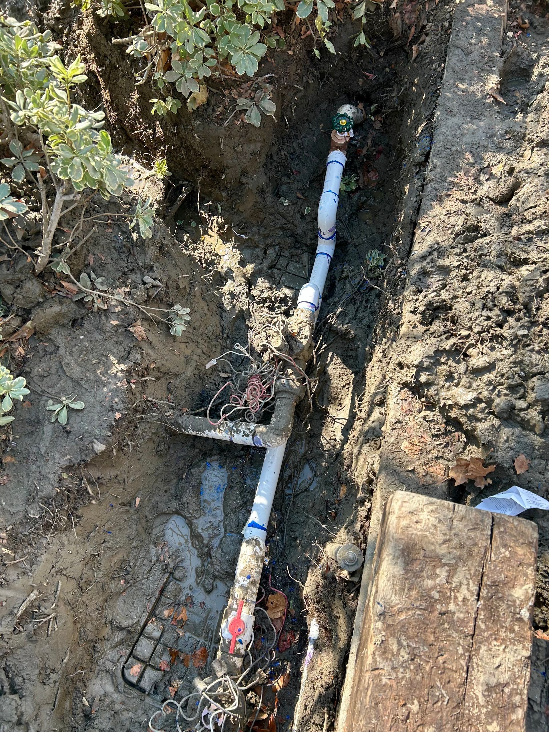 Sprinkler System Repair, Sprinkler Head Replacement, Irrigation Repair, Water Coverage Fix, Irrigation Inspection