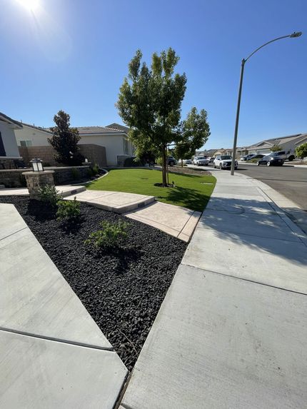 Sunny suburban sidewalk with a young tree, grass, black mulch, and houses along the street.