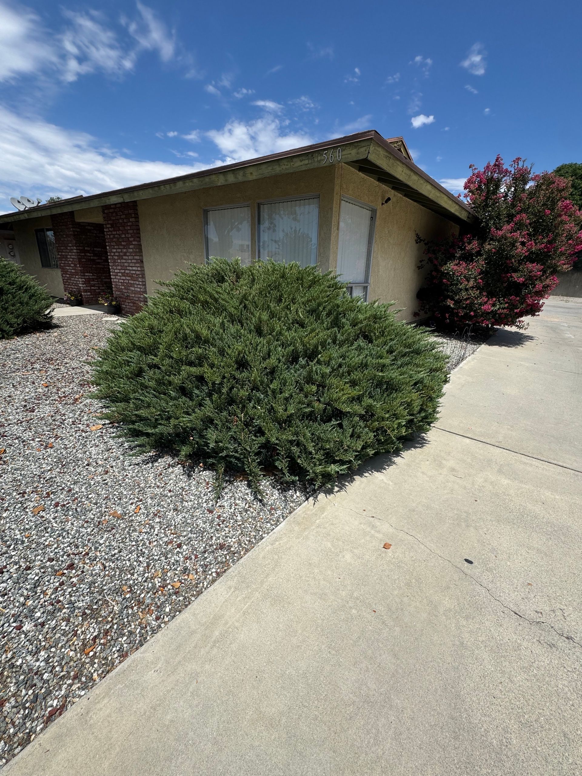 A house with a bush in front of it and a sidewalk.