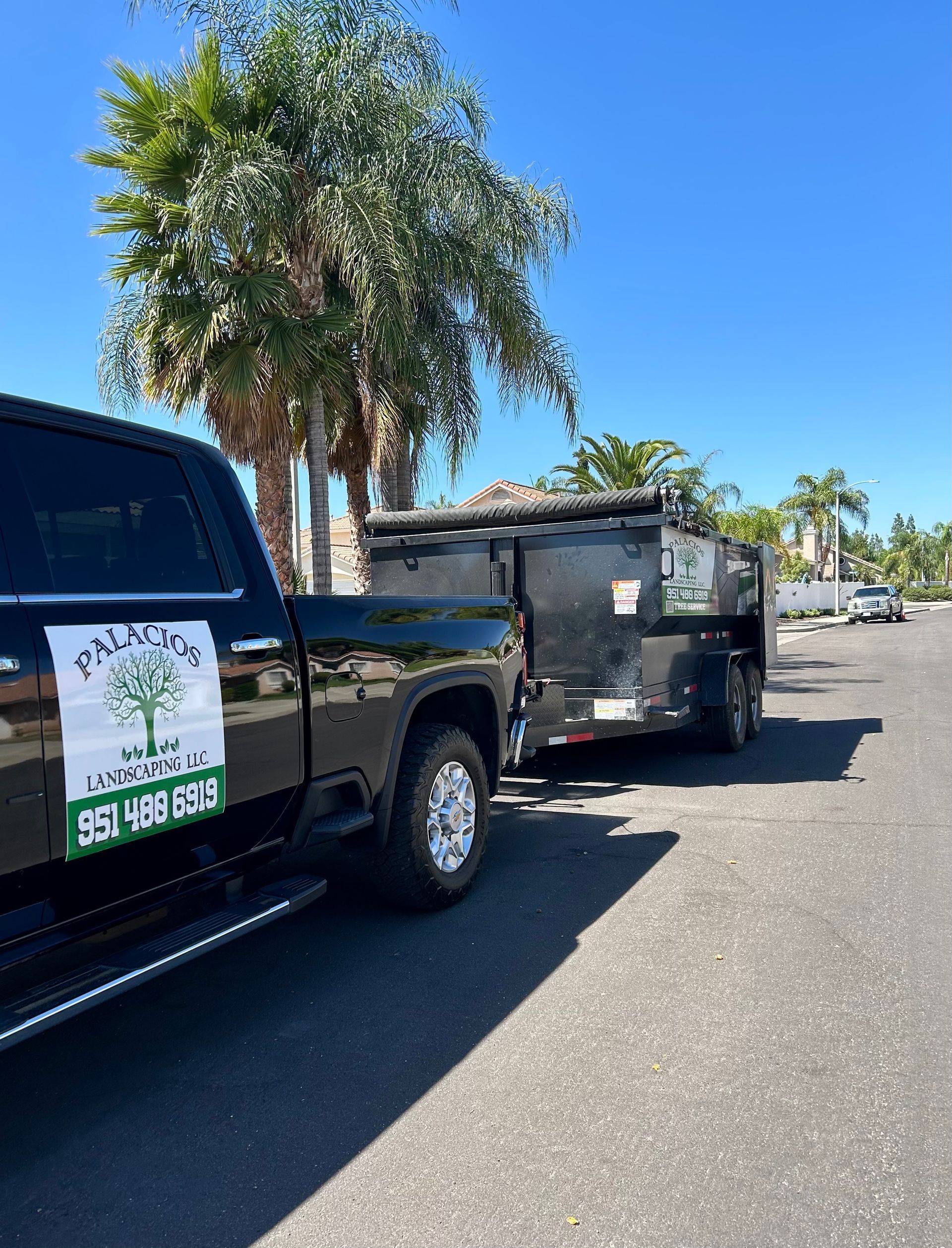 Palm Tree Trimming, Palm Tree Skinning, Debris Removal