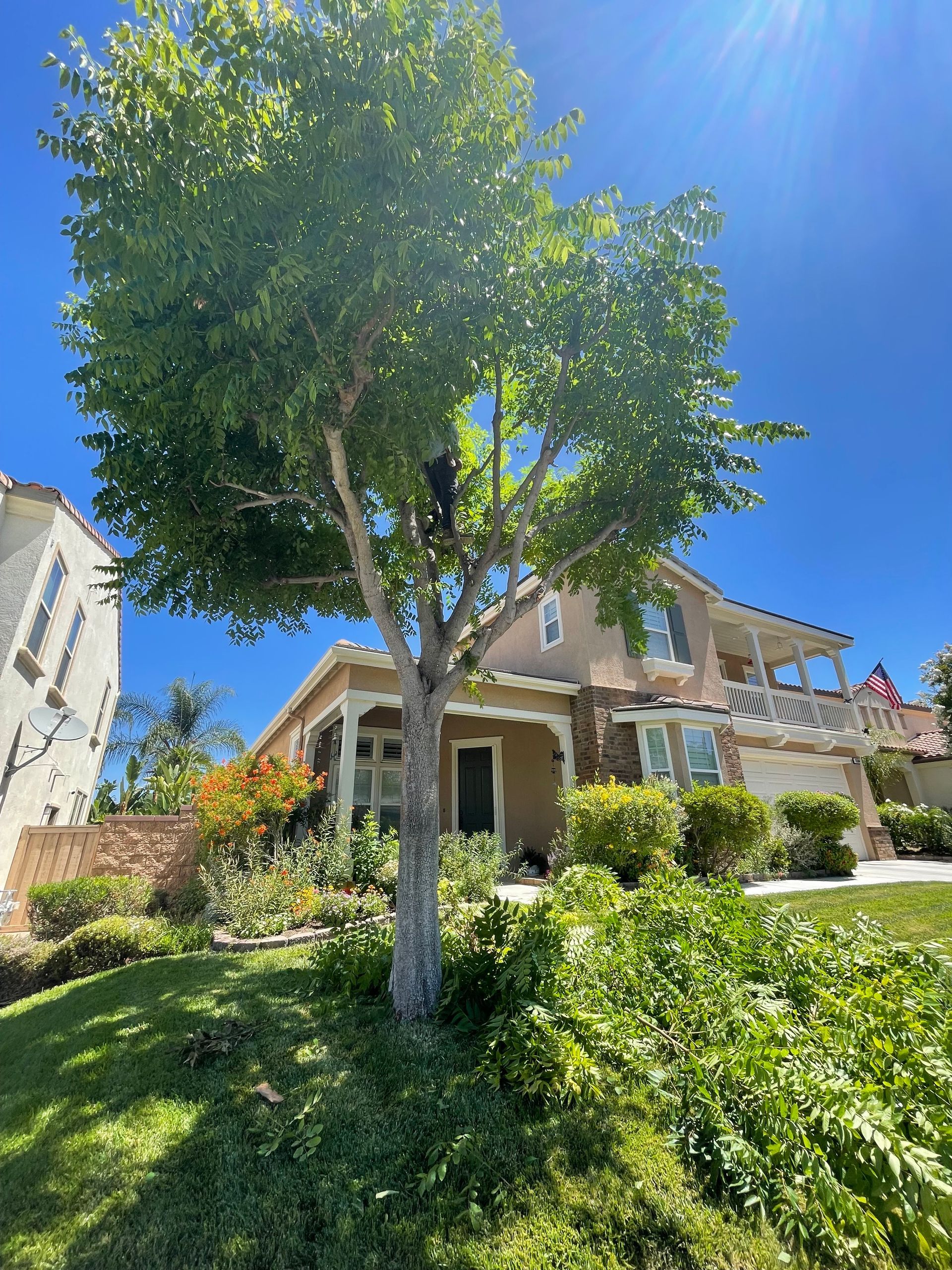 A large house with a tree in front of it