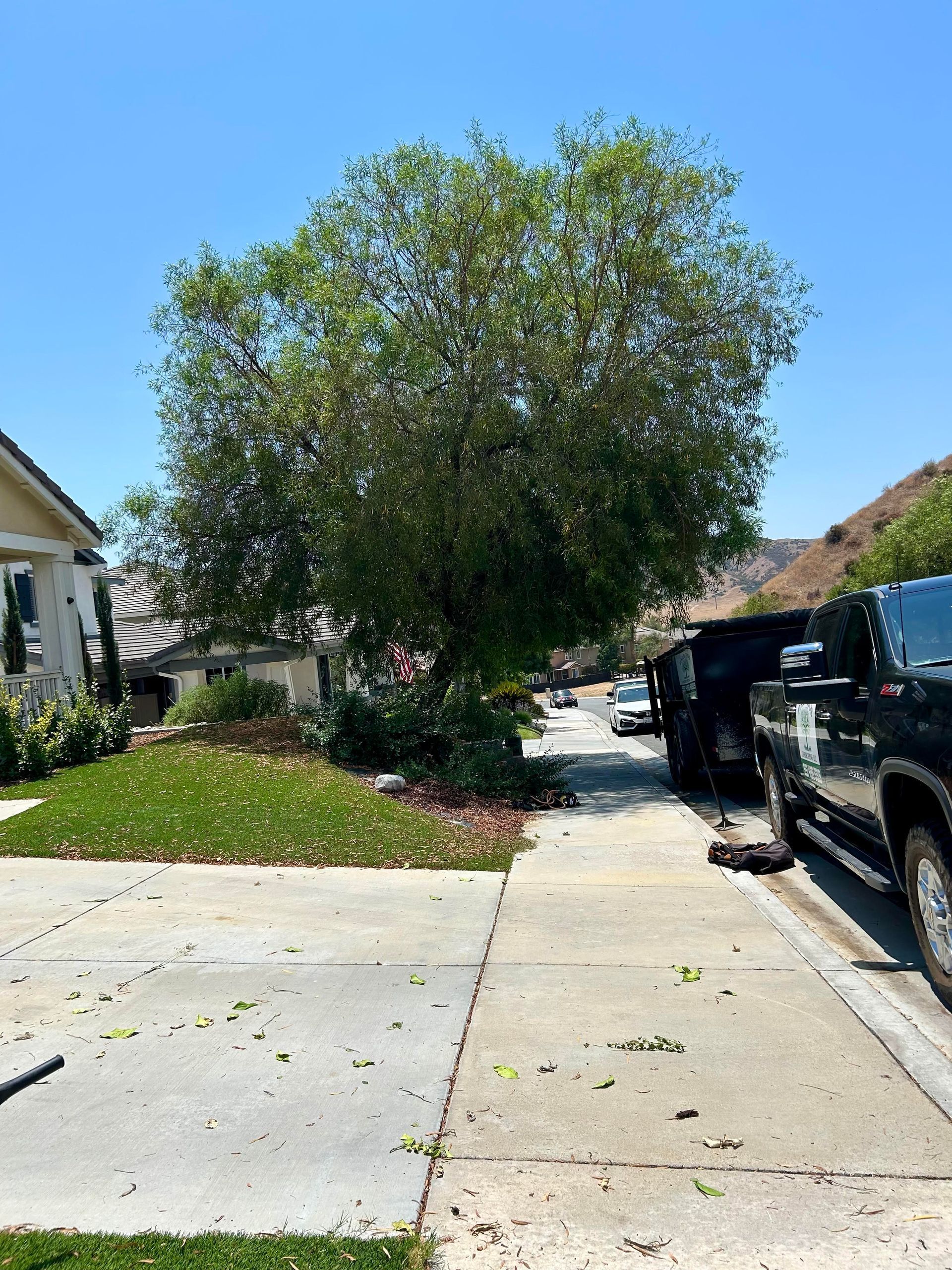 A black truck is parked on the side of the road next to a tree.