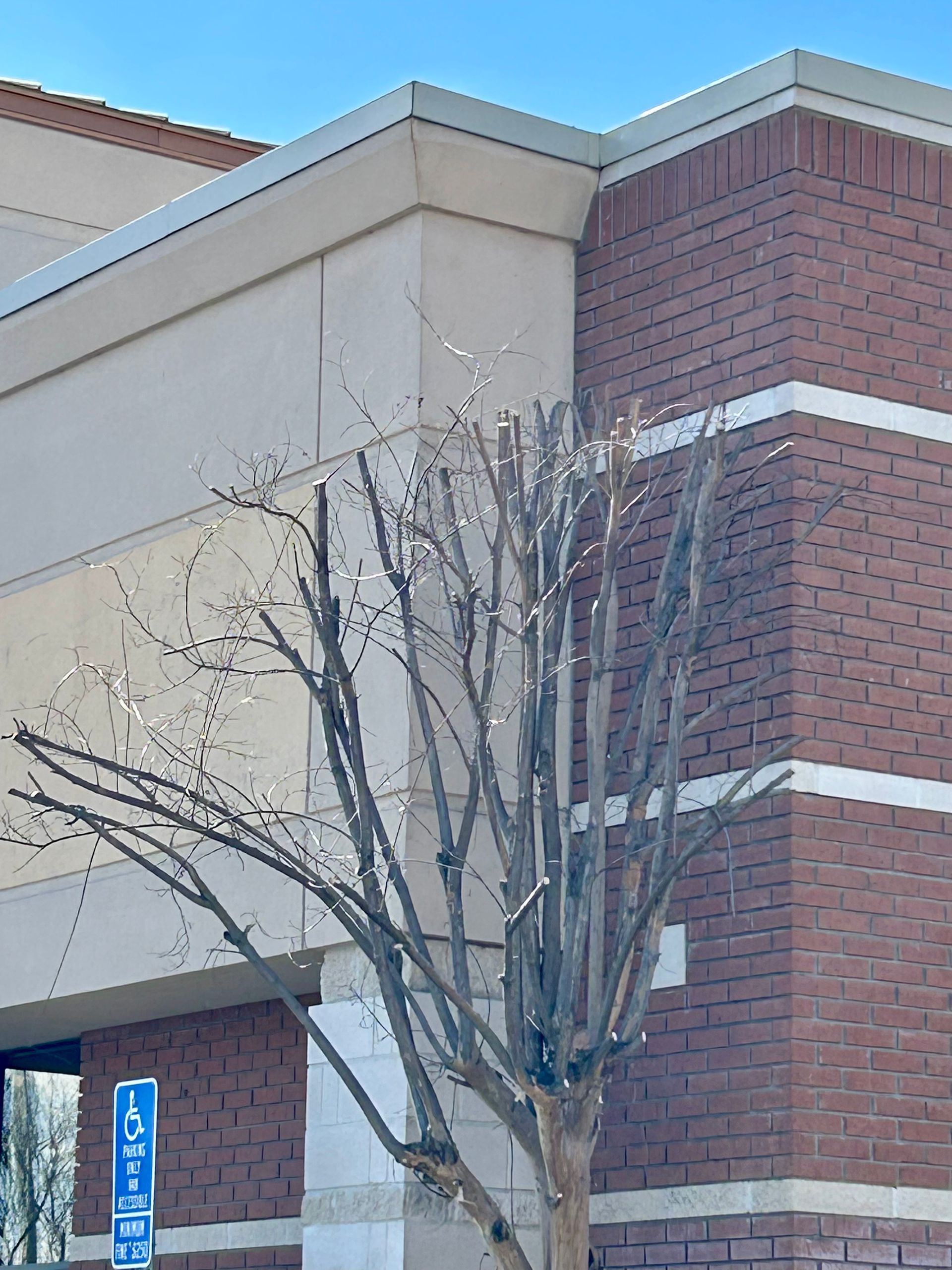 A brick building with a tree in front of it