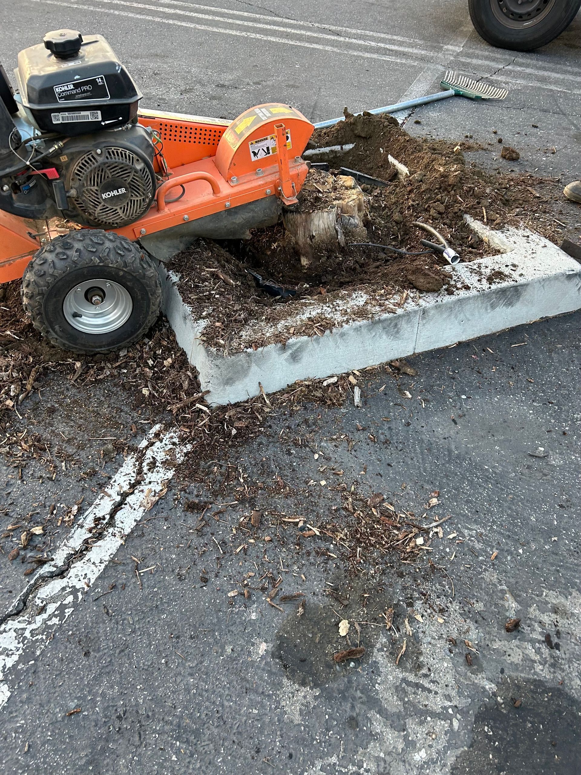 Tree Trimming, Root Removal, Bush Planting, General Tree Maintenance