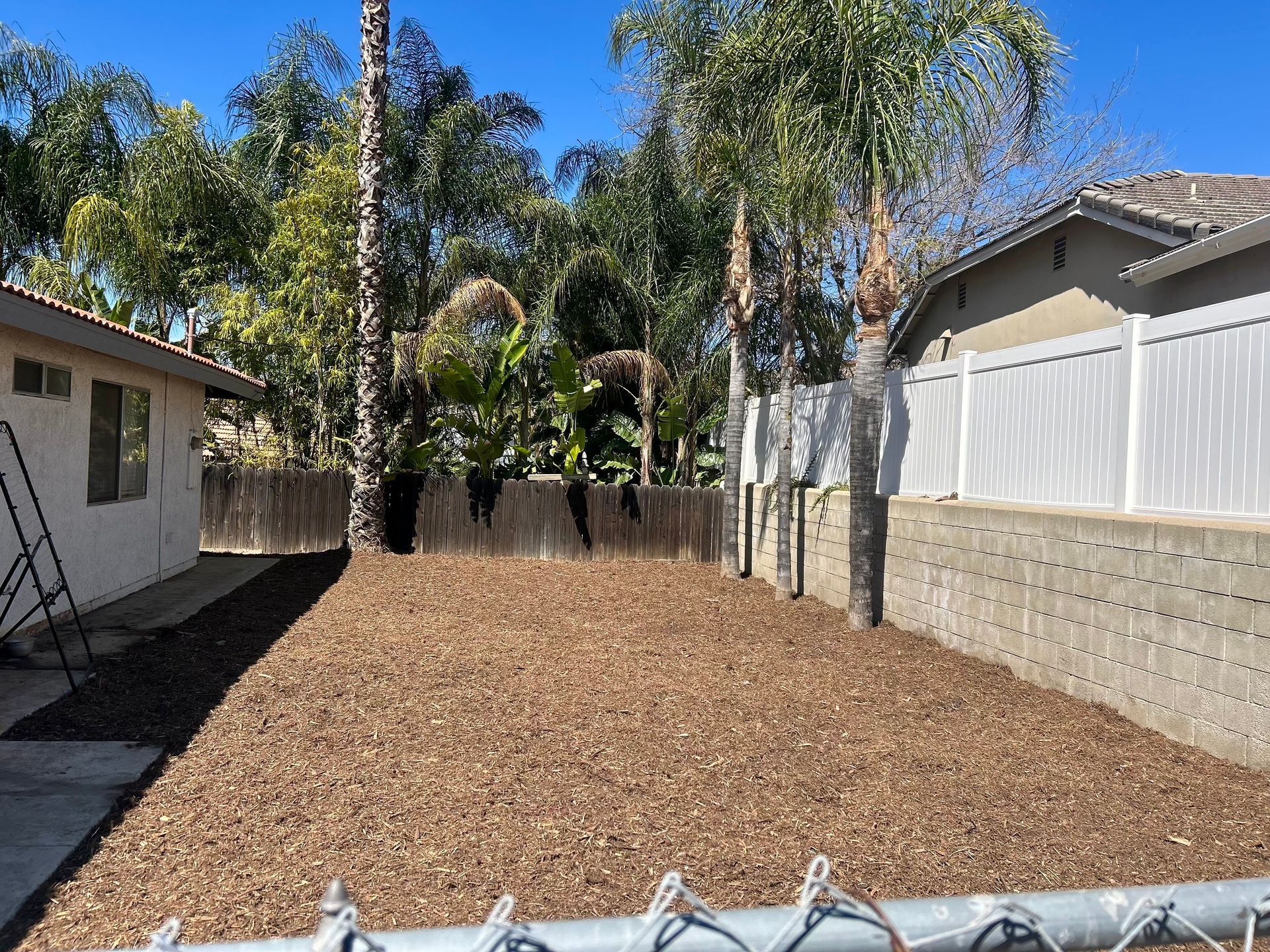 Palm Tree Trimming, Palm Tree Cleaning, Frond Removal, Debris Haul Away