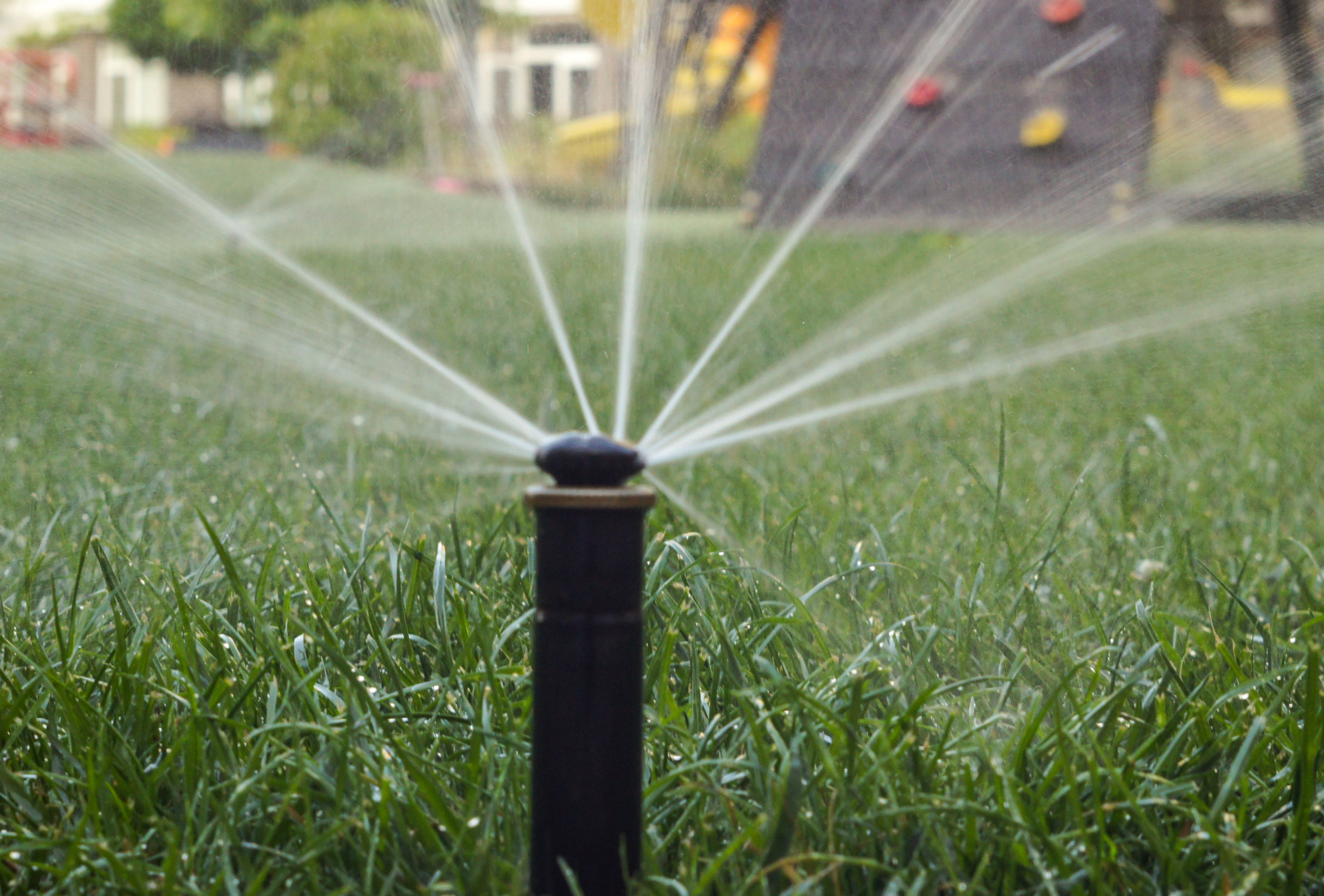 A sprinkler is spraying water on a lush green lawn.