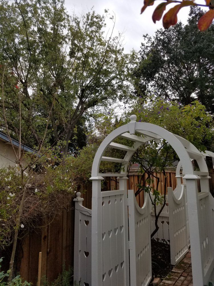 A white archway is surrounded by trees and a wooden fence.