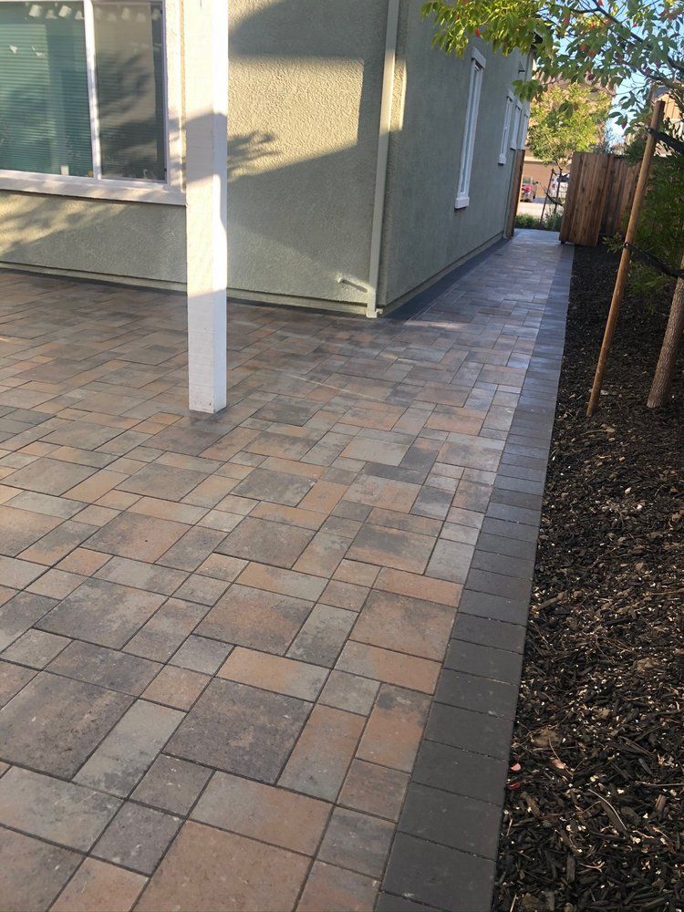 A brick walkway leading to a house with a tree in the background.