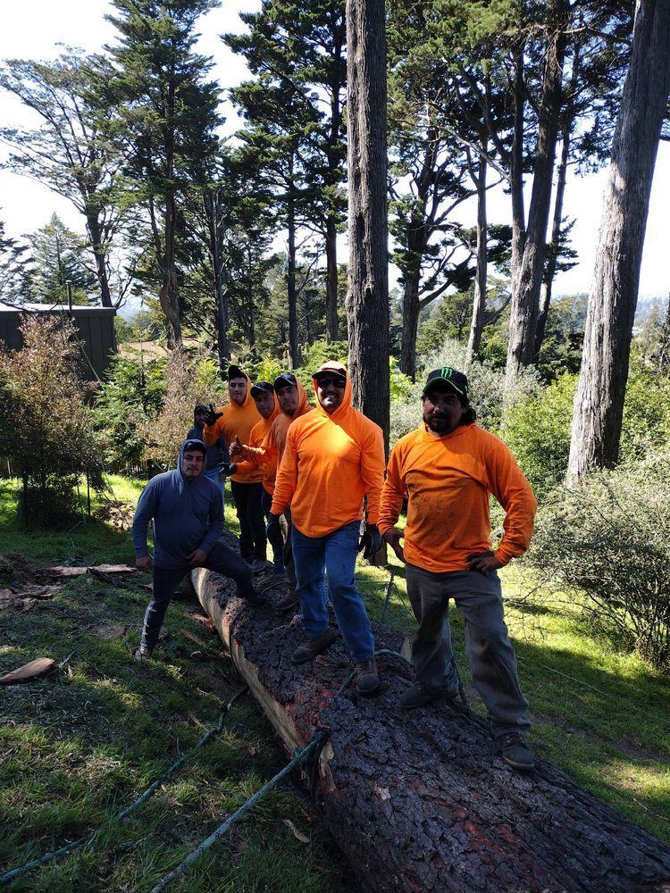 A group of men are standing around a log in the woods