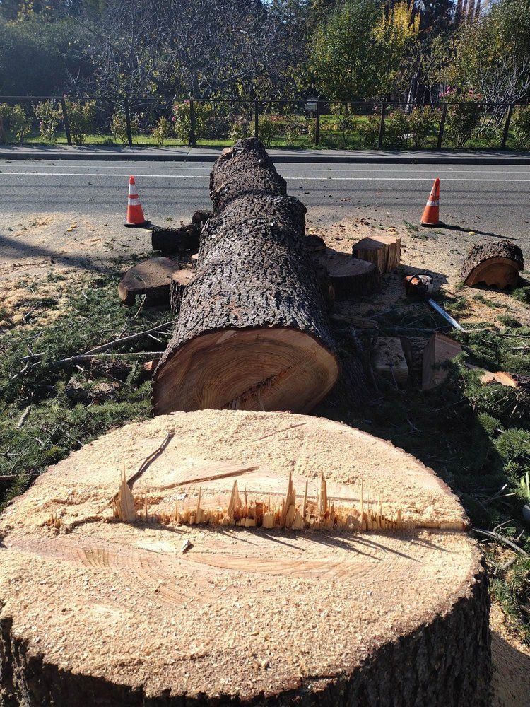 A large tree stump is sitting on the side of the road.