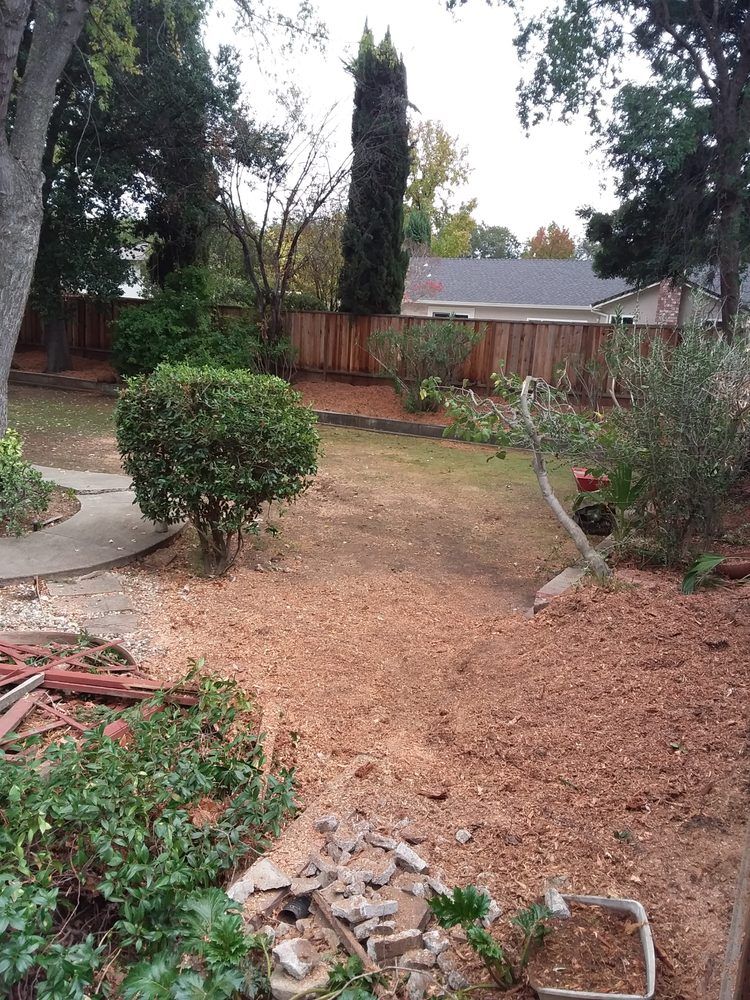 A backyard with a house in the background and a fence surrounding it.
