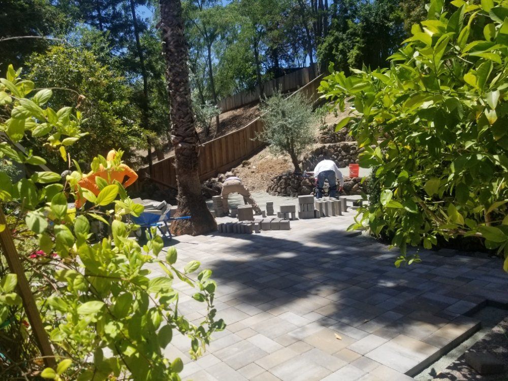 A patio is being built in a backyard surrounded by trees and bushes.