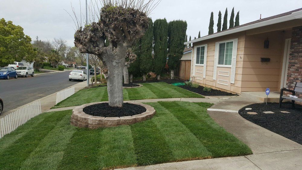 A house with a lush green lawn in front of it.