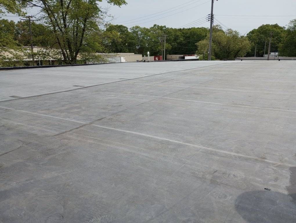 Empty concrete lot with trees and a utility pole in the background