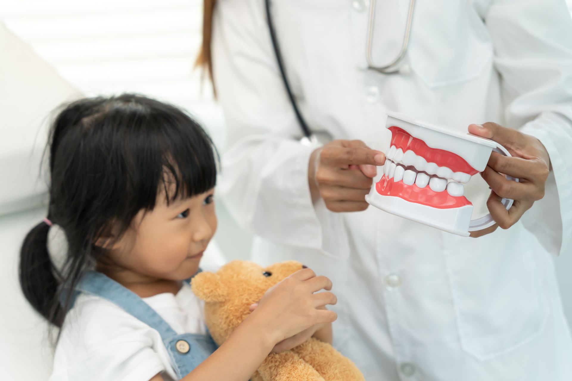 Dentist showing a child a model of teeth during a pediatric dental education visit. Dentist showing a child a model of teeth during a pediatric dental education visit.