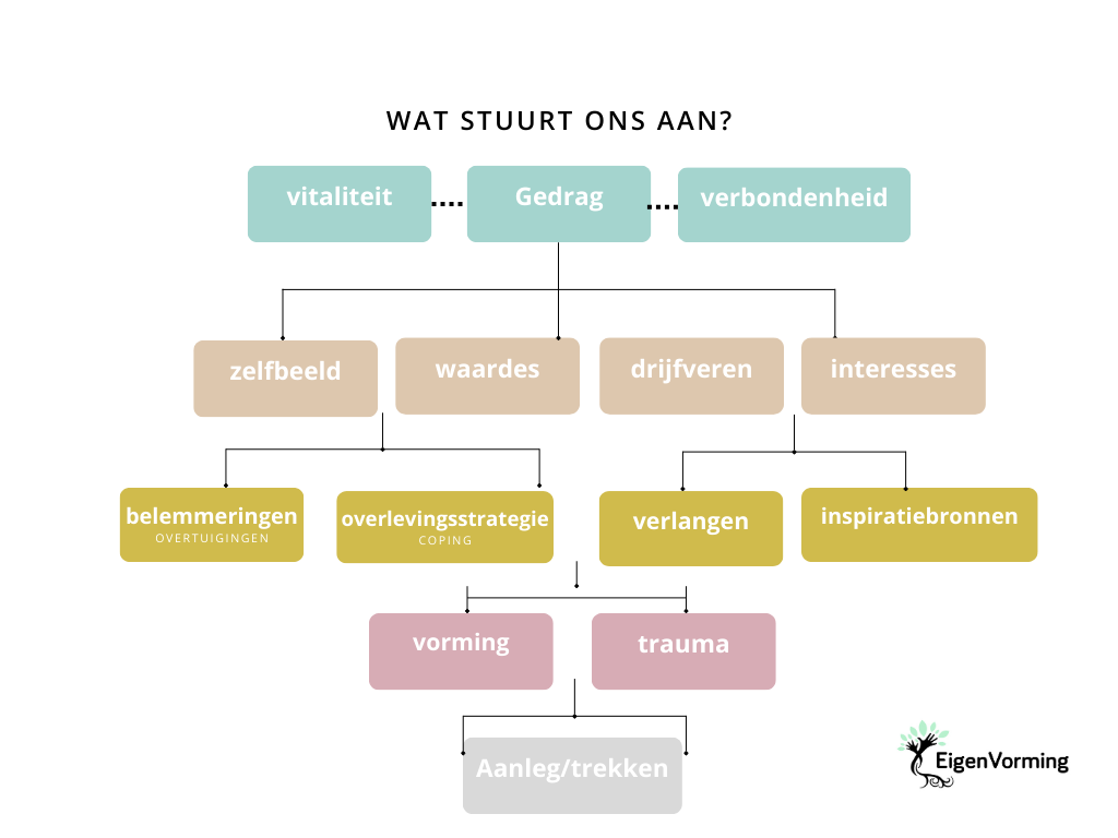 Eigenvorming | inzicht in wat je drijf