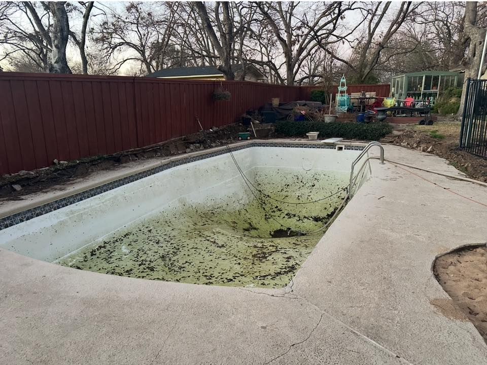 Empty backyard swimming pool with green algae and a concrete deck beside a red fence