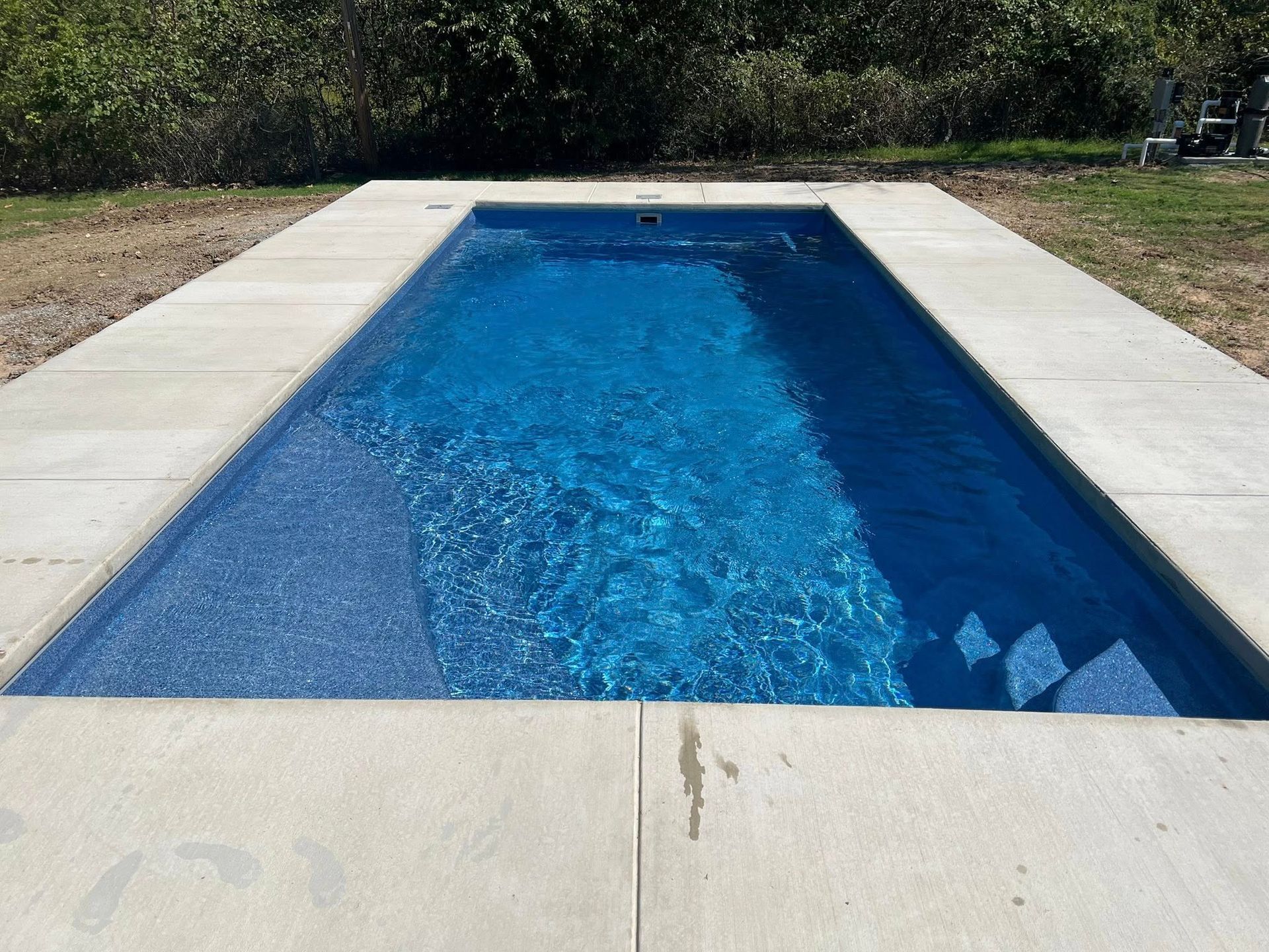Rectangular in-ground pool with blue water, bordered by light concrete decking and surrounded by greenery