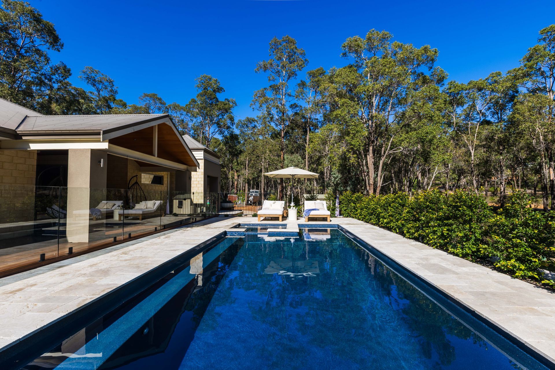 Modern backyard with long blue pool, lounge chairs, and a covered patio surrounded by trees under a clear sky