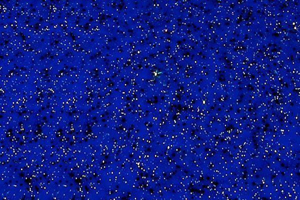 Blue background covered with scattered white and black speckles, like stars or confetti