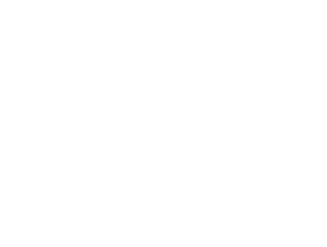 Mostly blank white image with a thin black strip along the bottom edge.