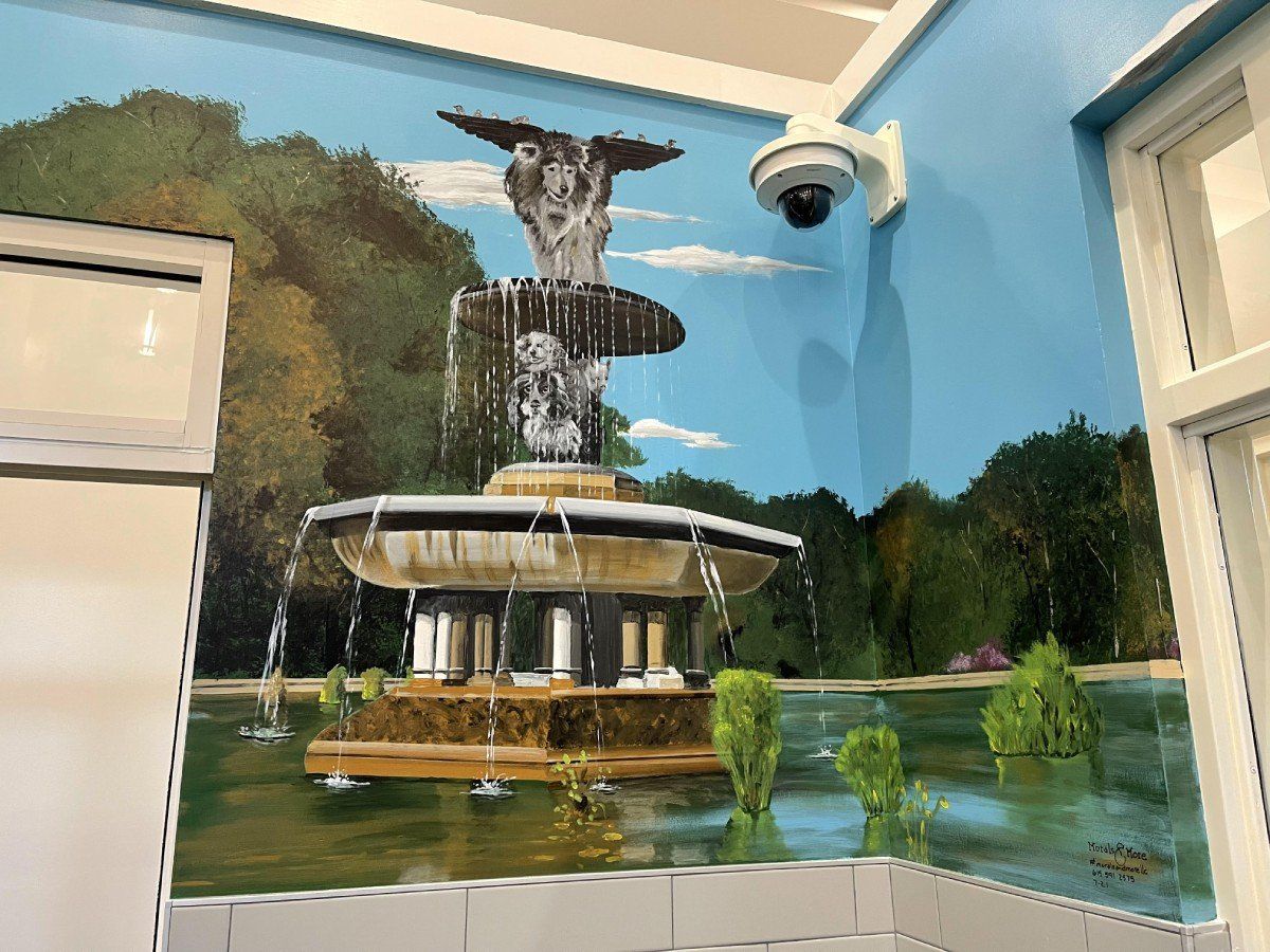 A painting of a fountain on a wall next to a camera