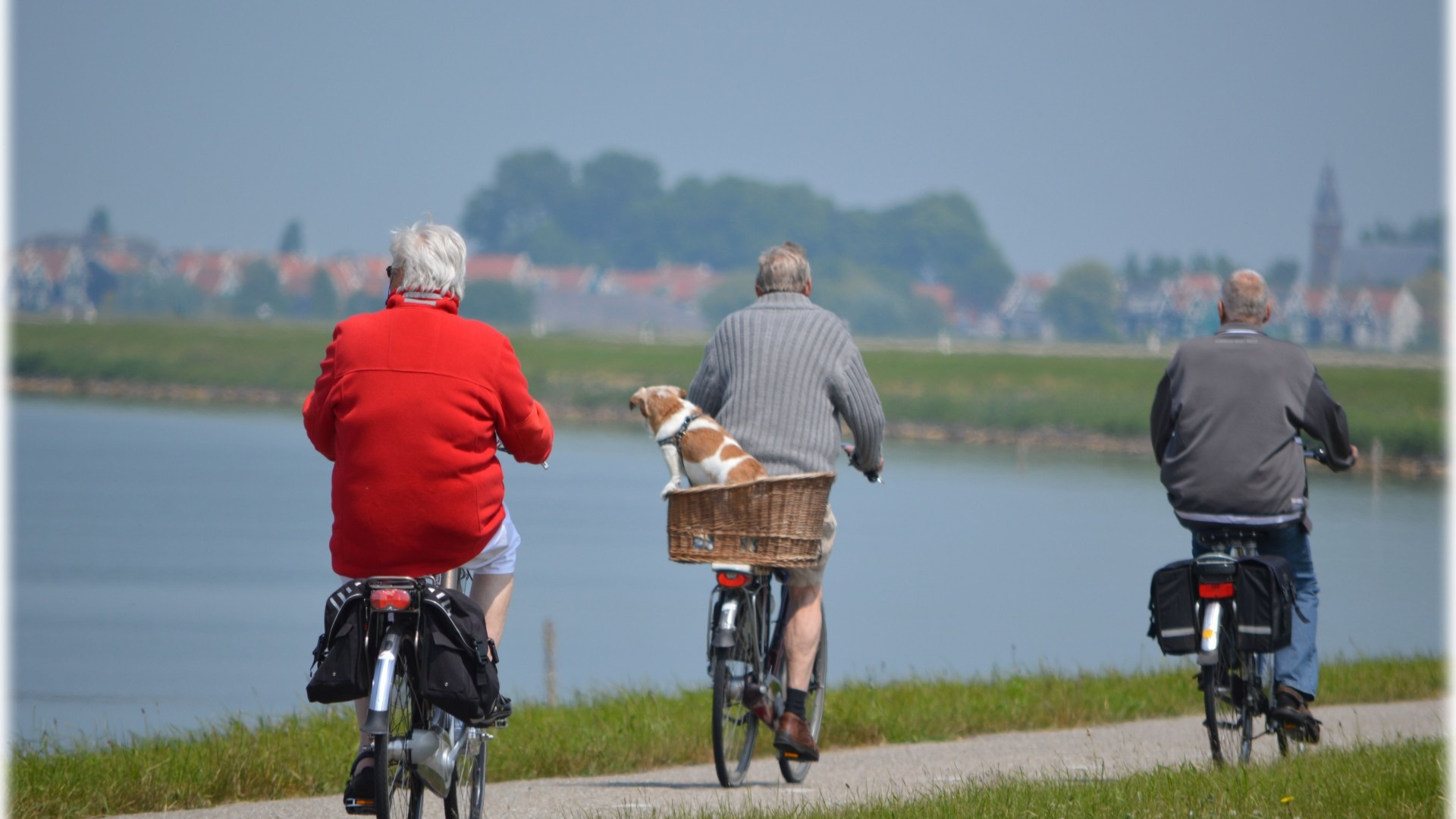 idosos andando de bicicleta à beira de um lago, representando qualidade de vida após a cirurgia