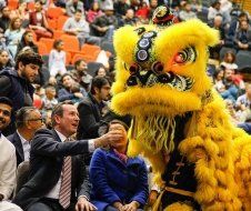A lion costume is being performed in front of a crowd of people.
