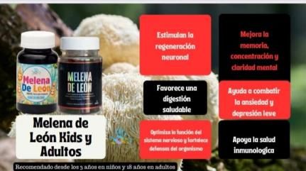 Frascos de suplementos “Melena de León” con recuadros de texto que describen sus beneficios