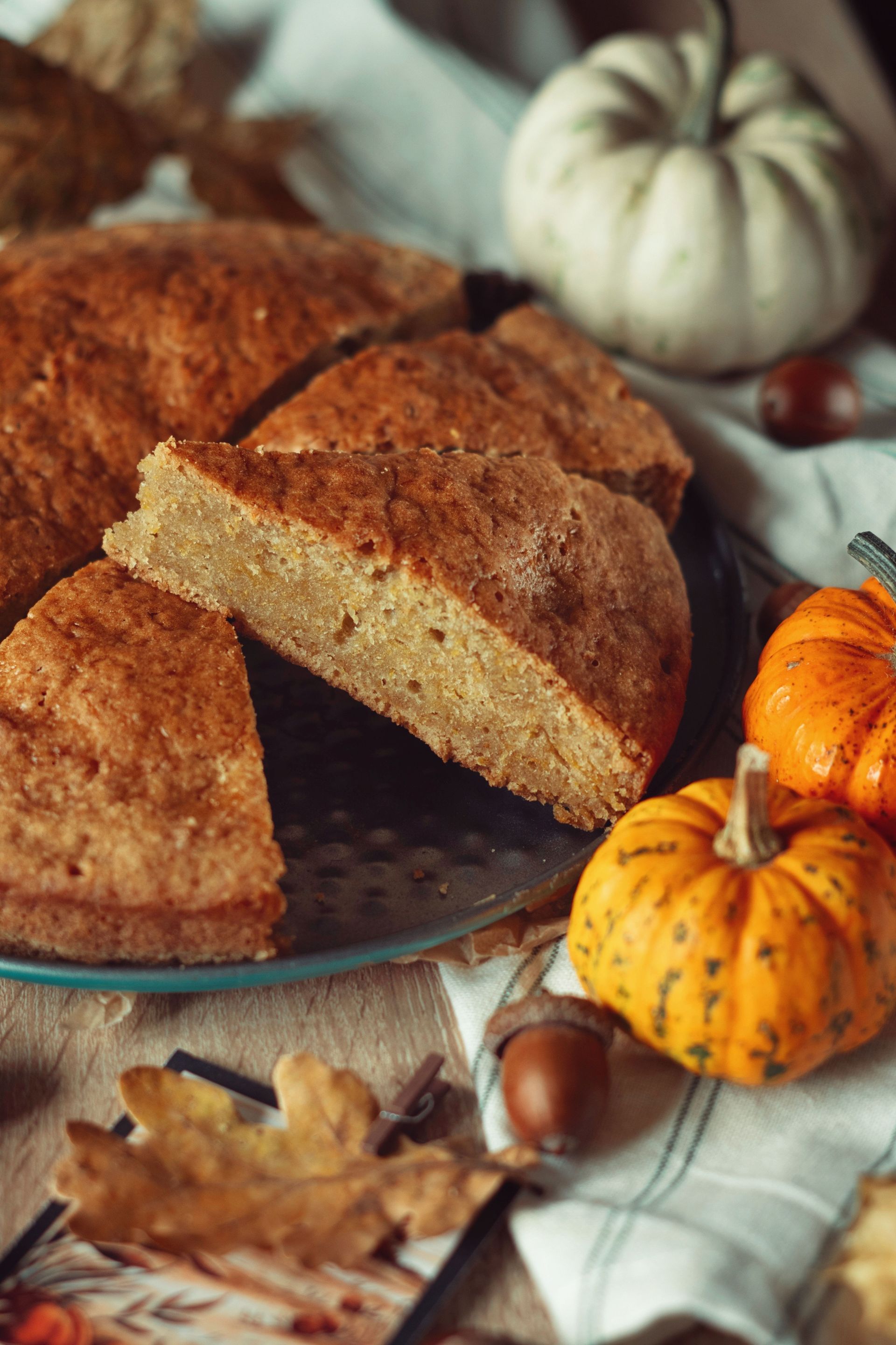 National Pumpkin Day!