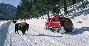 Yellowstone Alpen Guides