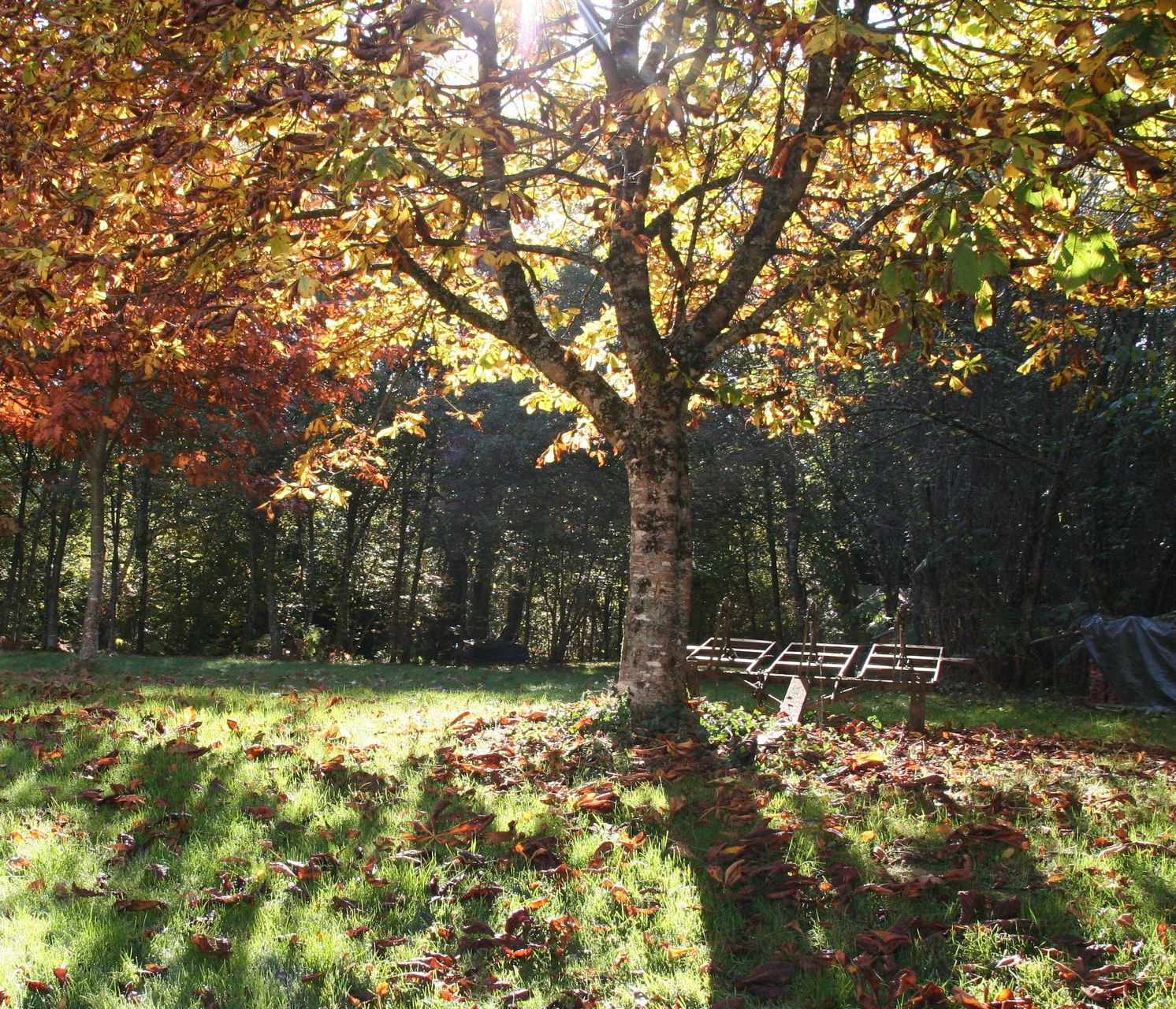 ook in de herfst is het er prachtig 