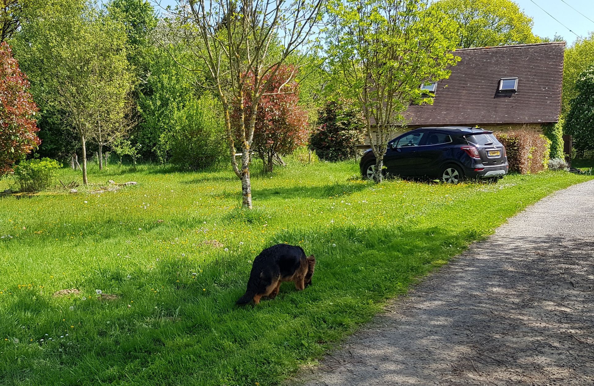 gasten kunnen veilig parkeren 