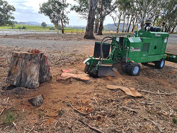 Stump grinding