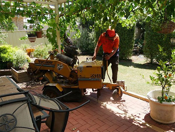 Additional stumping services