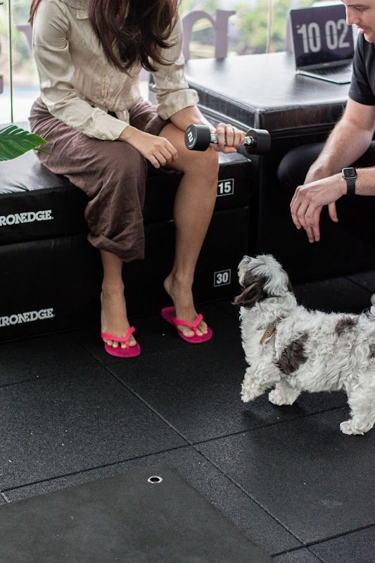 Woman in pink flip-flops holding a dumbbell, sitting on gym equipment, small dog looking up. Man nearby.