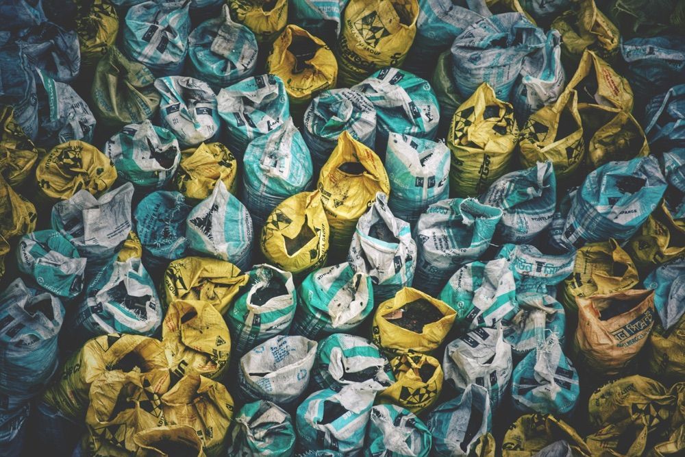 Learn How Organisms are Used to Clean Up Toxic Waste.