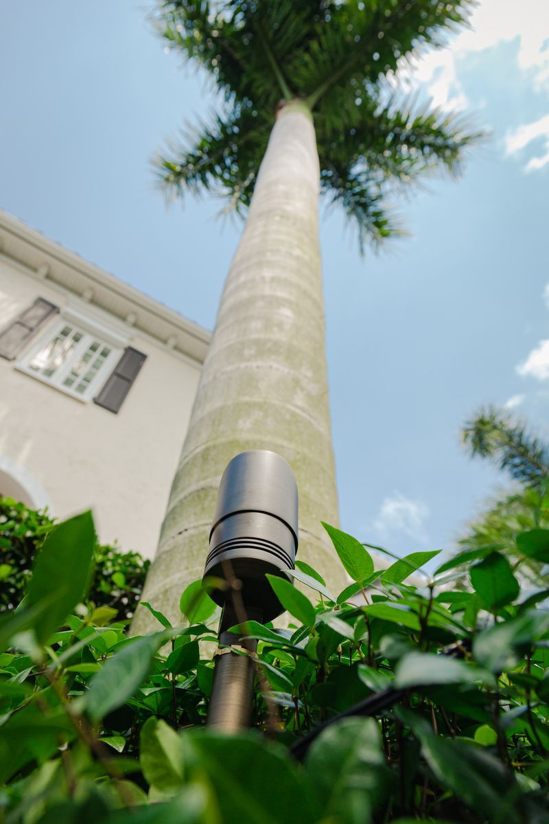 Low-angle view of a tall palm tree beside a white building, with a black garden light and green shrubs in the foreground