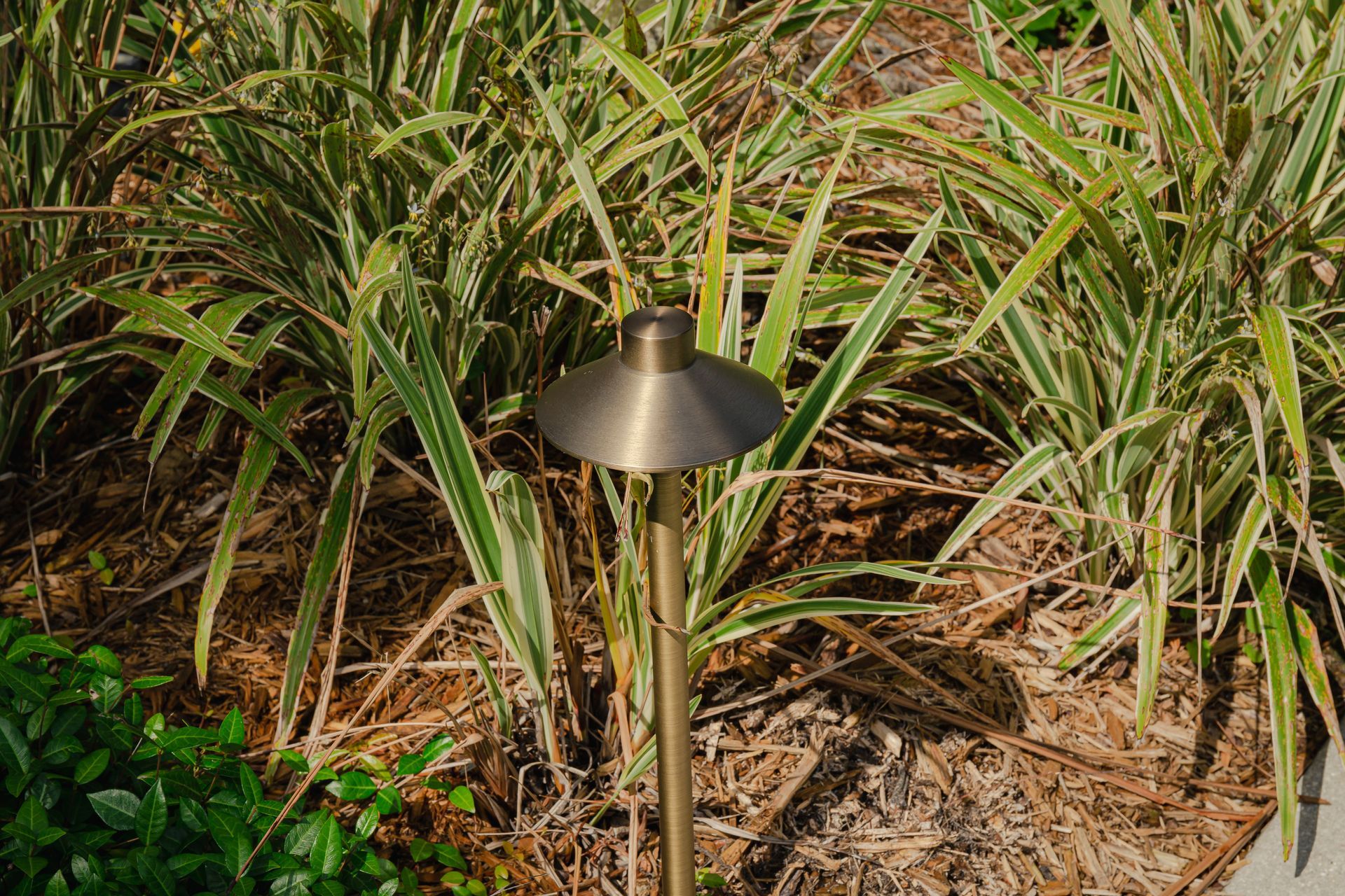 Cone-shaped garden light among green and tan ornamental grasses in mulch