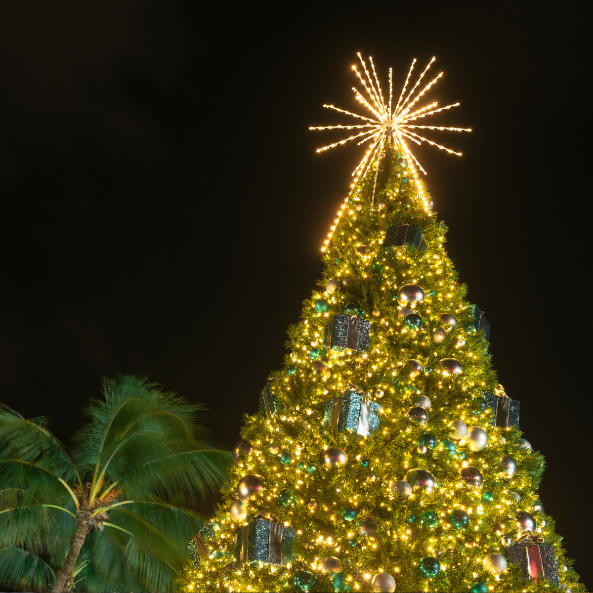 Festive Christmas tree lit with gold lights and a starburst topper against a dark night sky