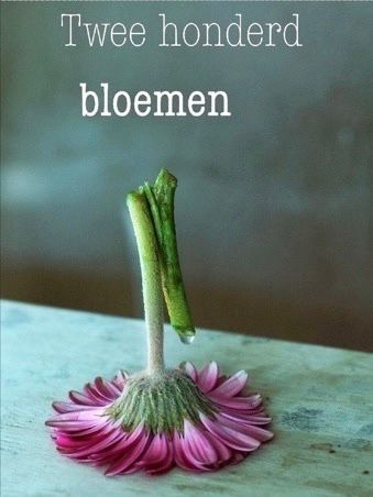 Boeken