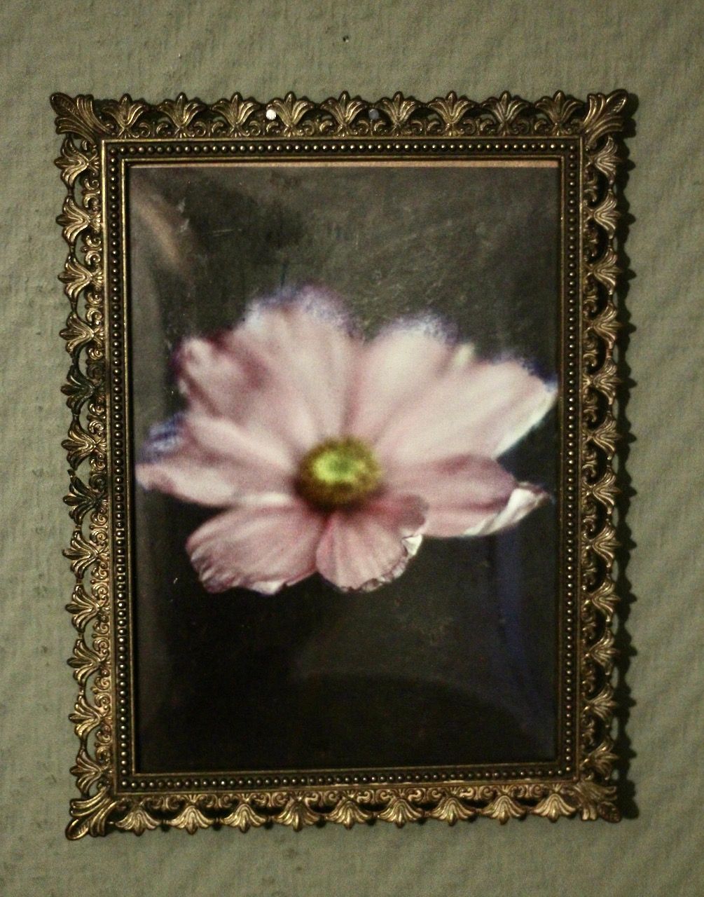 Vintage Ingelijste foto 20-15cm, gebold glas