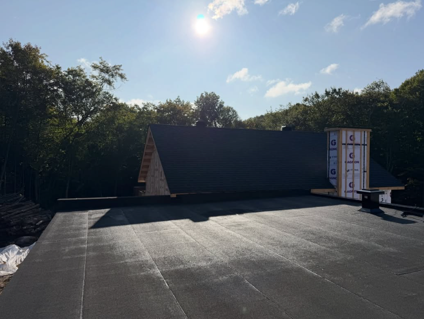 Toit plat noir avec une petite bouche d’aération et des arbres en arrière-plan baignés de soleil