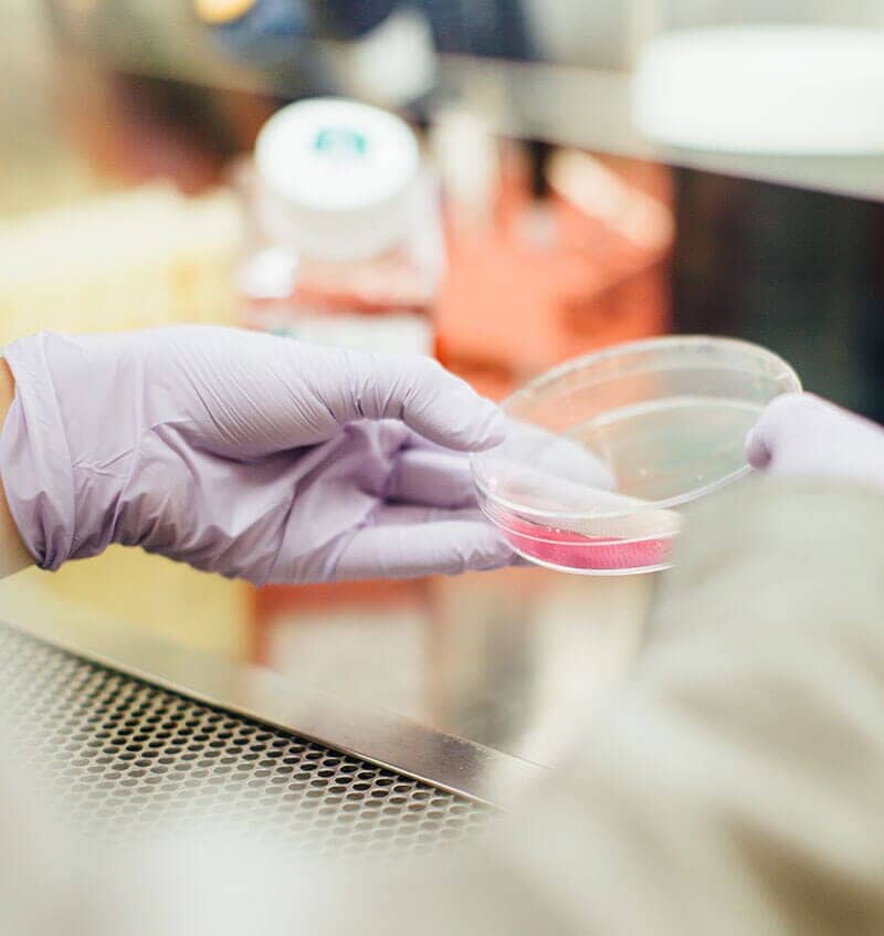Laboratorio Clínico de las Américas - antidoping