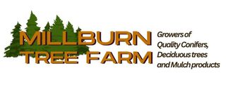 Millburn Tree Farm