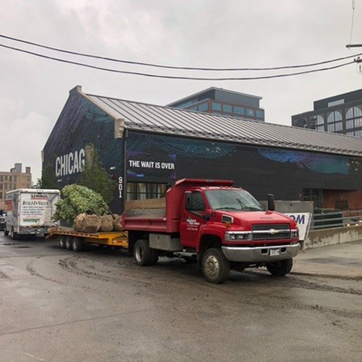 Red Truck — Lake Villa, IL — Millburn Tree Farm