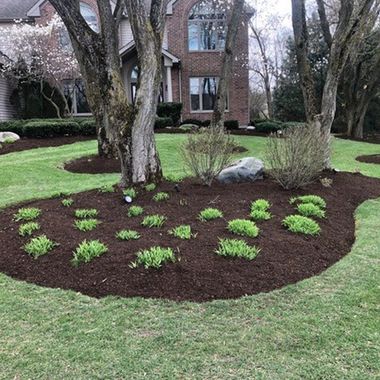 Mulch — Lake Villa, IL — Millburn Tree Farm