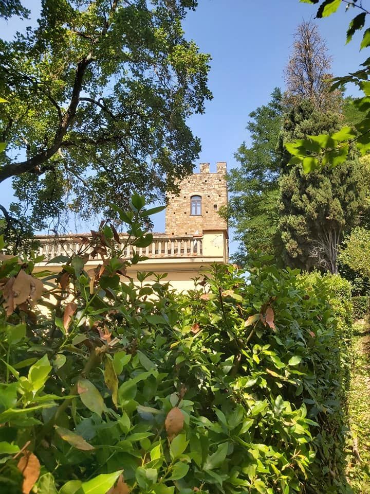 Alberi